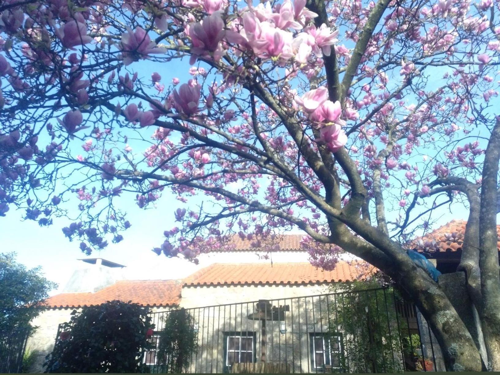 Вилла Sao Braz Terrace Landim Экстерьер фото